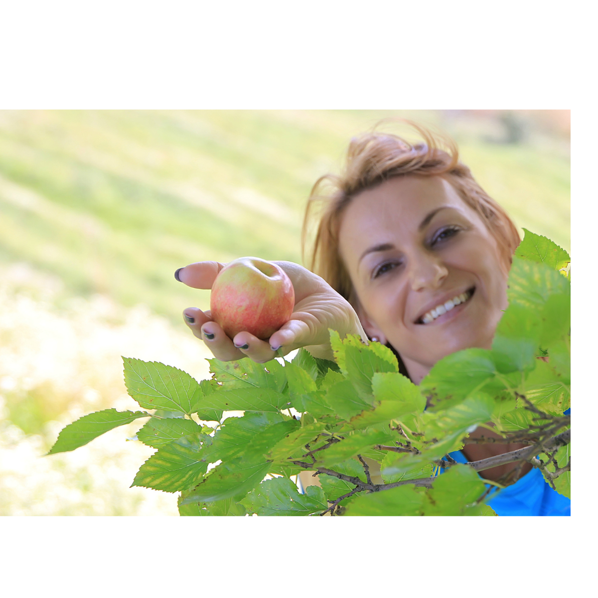 Resilience in Midlife is Slow and Steady Progress