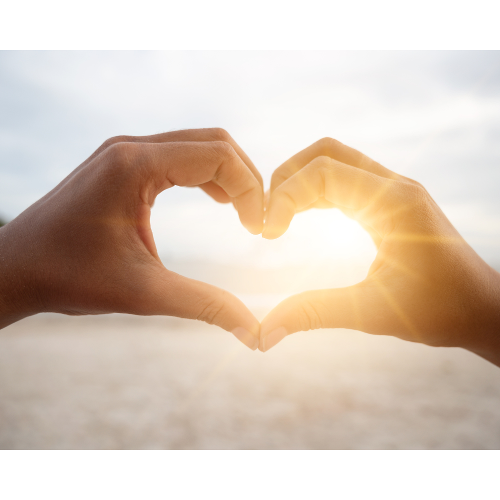 Stronger Than Menopause: A Simple Guide to Heart & Bone Health