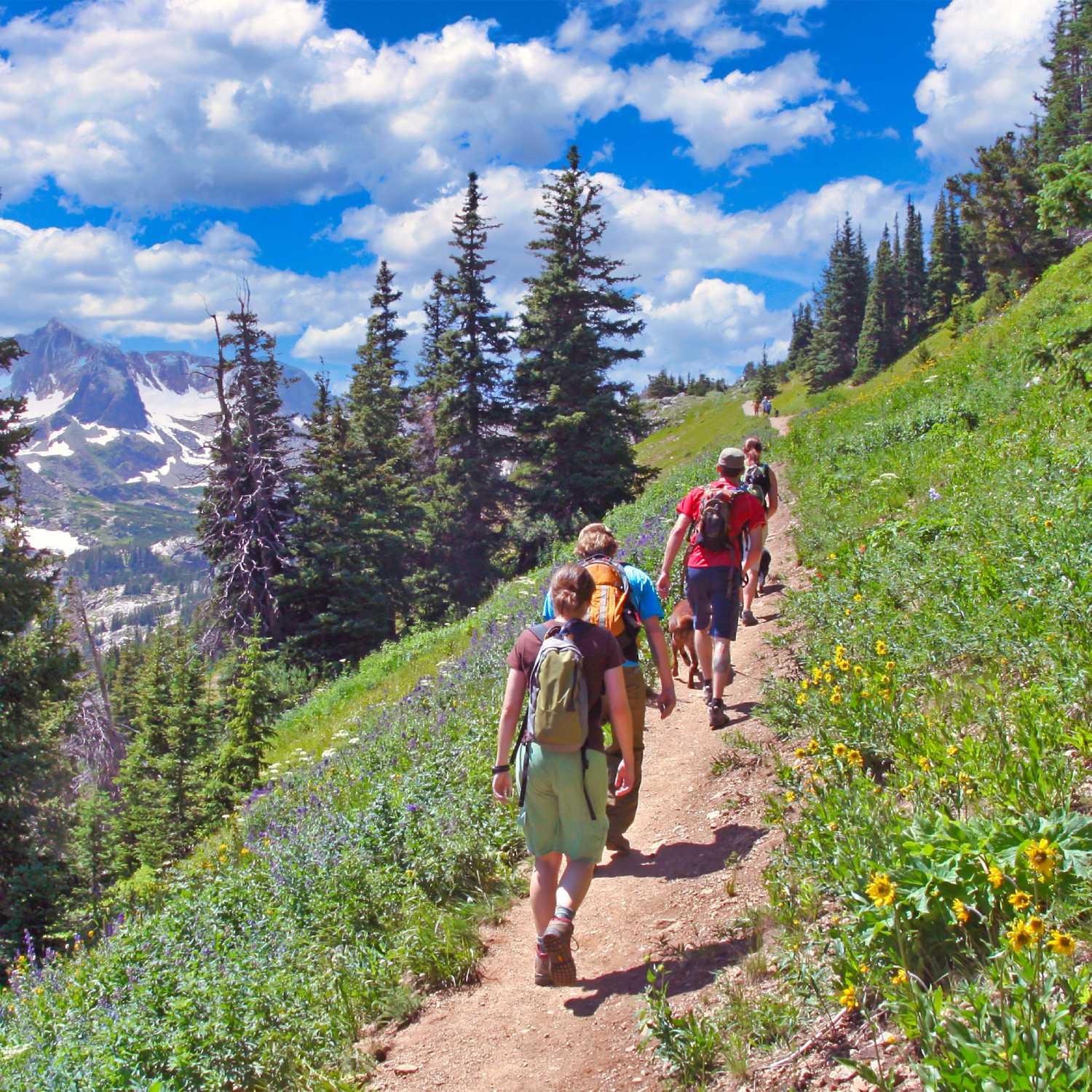 Adventurous Outdoor Activities To Experience in Colorado