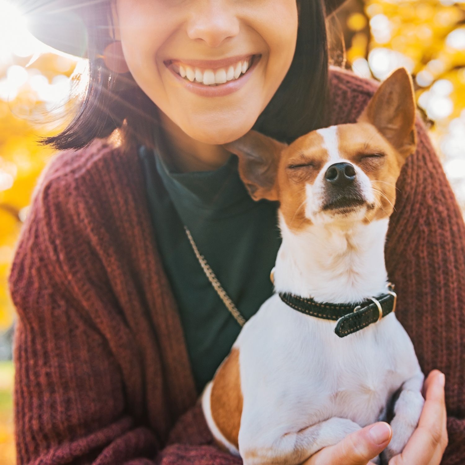 Fall Adventures That Will Help You Bond With Your Dog
