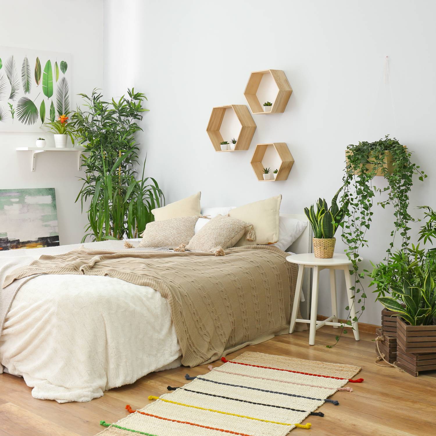Buy These Plants To Create a Bedroom Oasis