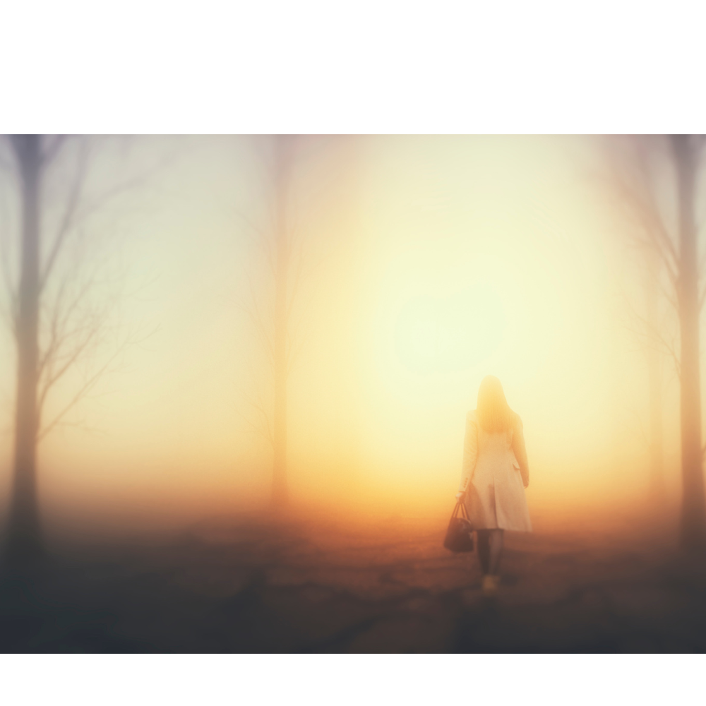 Coming out of The Fog