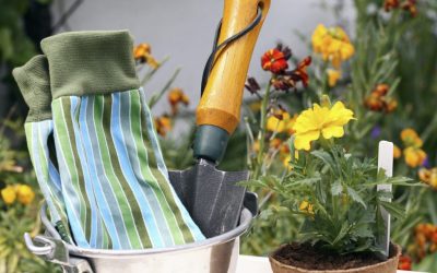 A Greener Approach to Home Gardening