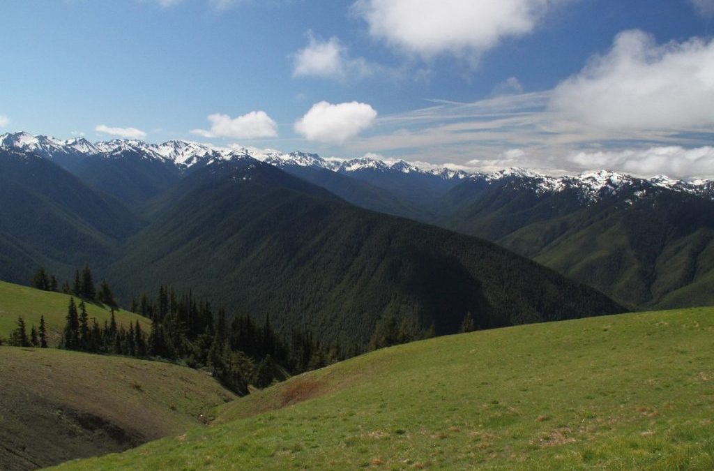 Olympic Natinal Park Taken by Sandy Haddick