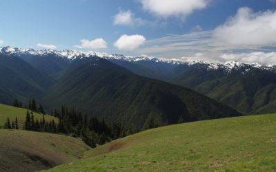 Top 10 National Parks in the U.S.A.