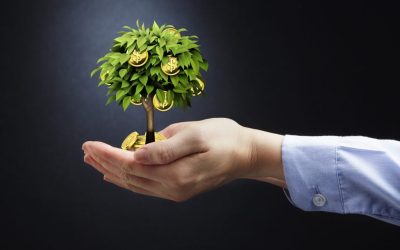 Creating a Sound Financial Foundation