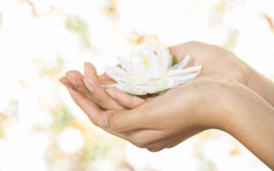 The Many Benefits of Mindfulness