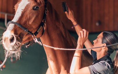 5 Ways Farming Can Improve Your Health and Happiness