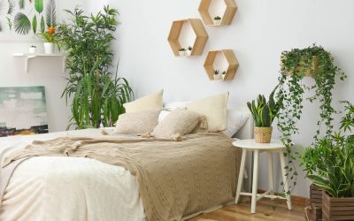 Buy These Plants To Create a Bedroom Oasis