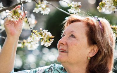 Trees That Will Bring Life to Your Backyard