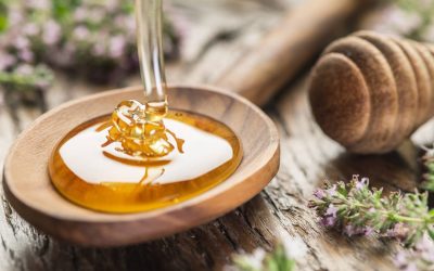 A Quick Guide to Using Honey for Wellness