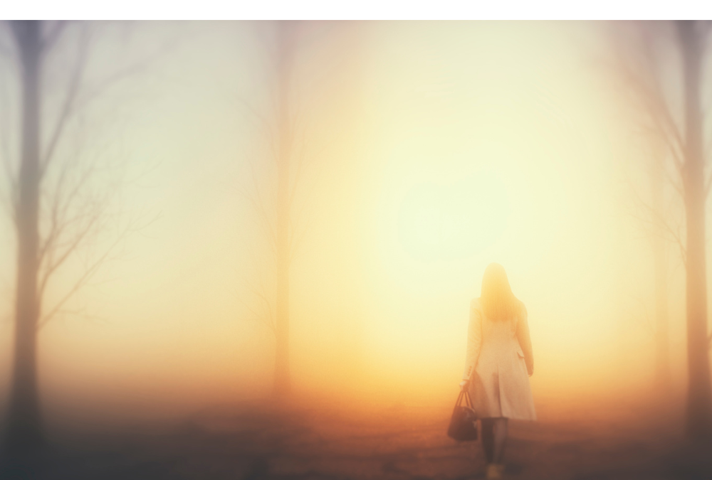 Coming out of The Fog