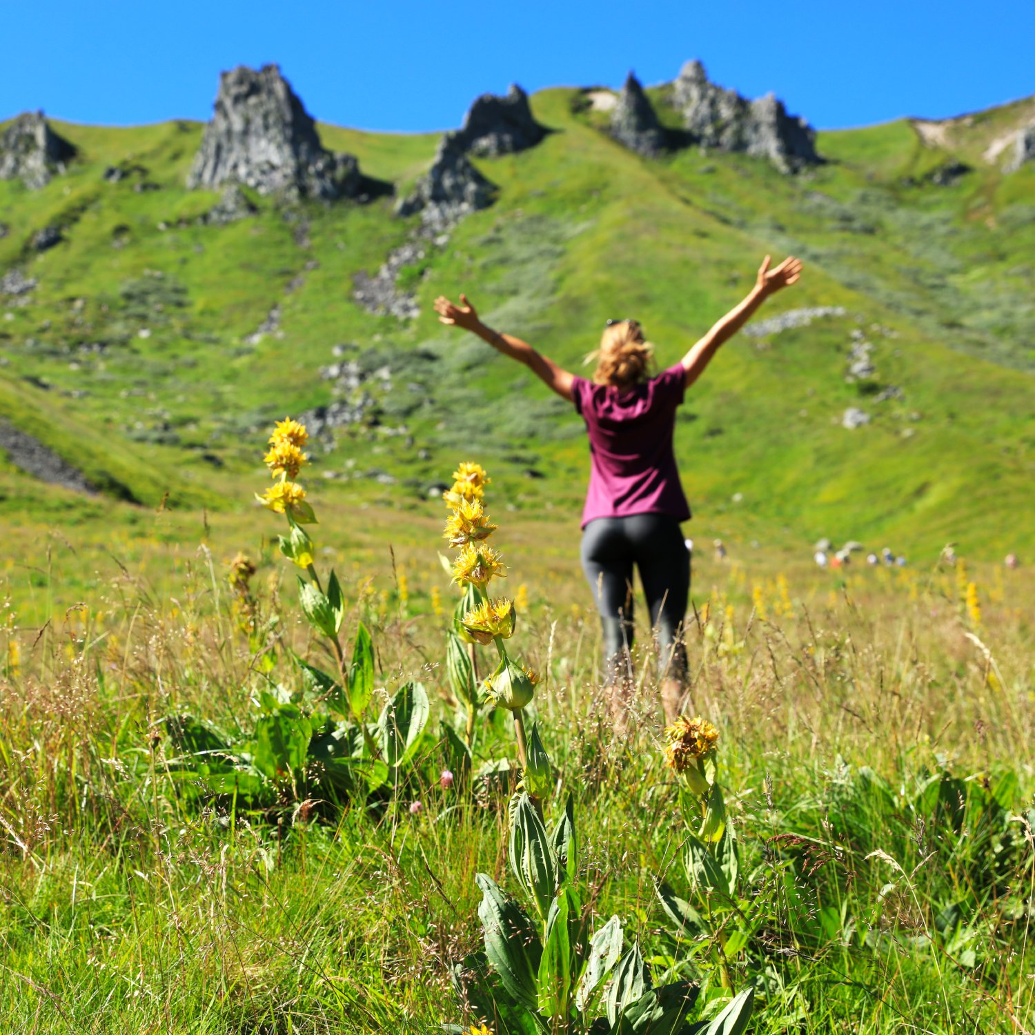 A happy woman in a t-shirt and leggings stands in a field with yellow flowers, with her arms raised, facing the mountains.
